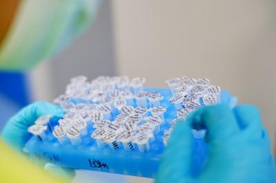 從“世界工廠”到“創新策源地” 解讀政府工作報告中的廣東科技創新躍遷之路