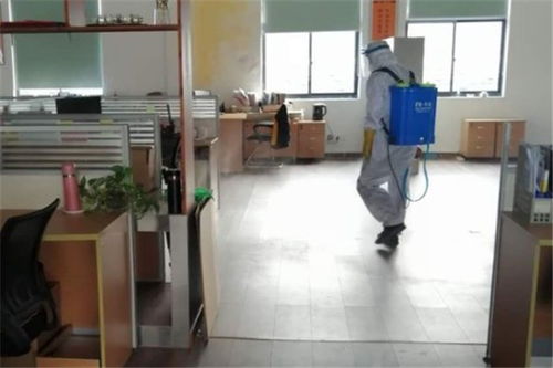 北京大興食品廠蟲控消毒、除臭蟲服務(wù)與保潔服務(wù)收費(fèi)標(biāo)準(zhǔn)解析